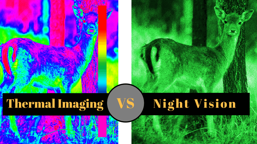 Difference Between Night Vision and Thermal Scopes – What is it