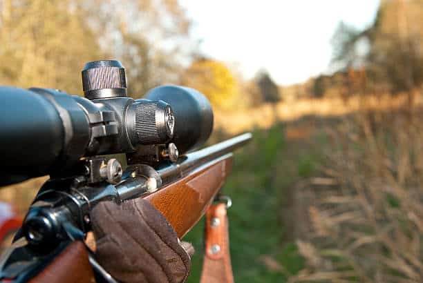 Why Should You Use a Rifle Scope – 6 Reasons