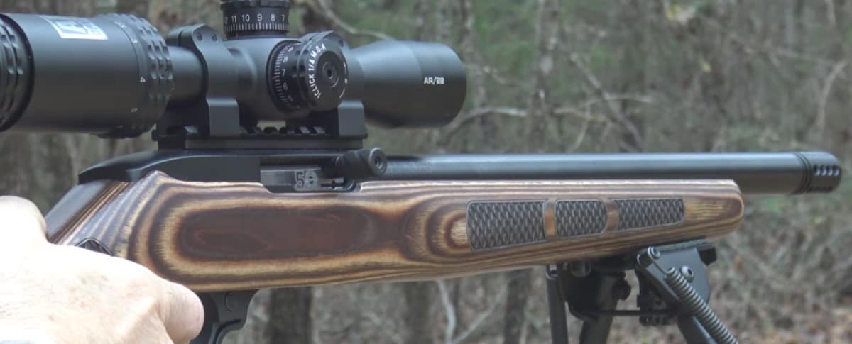 Best Scope for Ruger 10/22 – The 6 Best Ones for Takedown, Carbine, and More