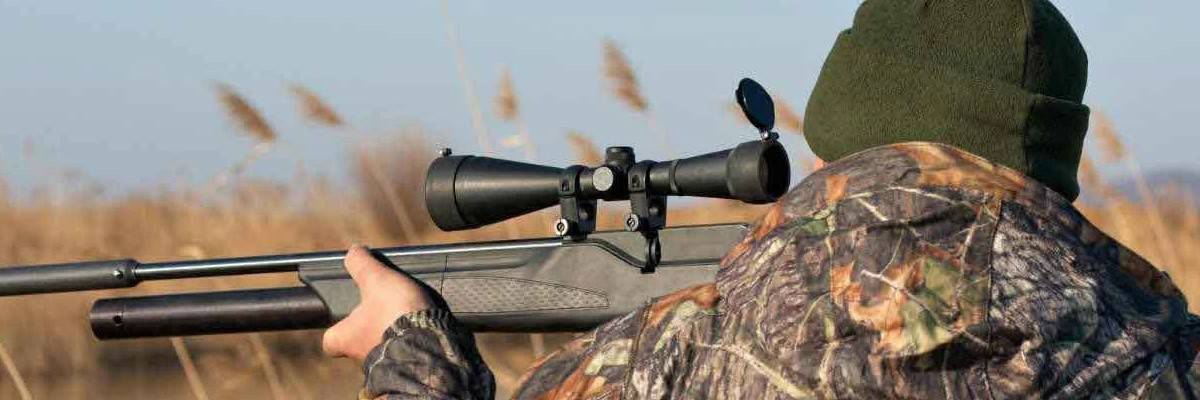 Rifle Scopes Basics: How They Work