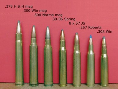 30-06 Springfield vs 300 Winchester Magnum – Cartridge Comparison