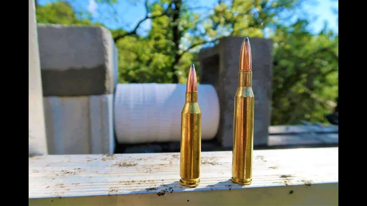 243 Winchester vs 270 Winchester – Caliber Comparison