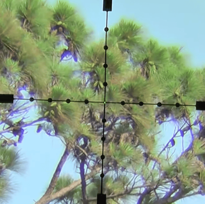 Trijicon TR22 AccuPoint 2.5-10x56 mil dot illuminated reticle