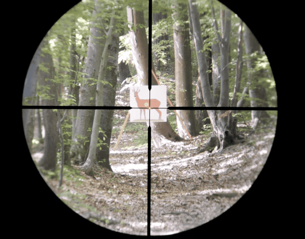 Leupold firedot duplex reticle