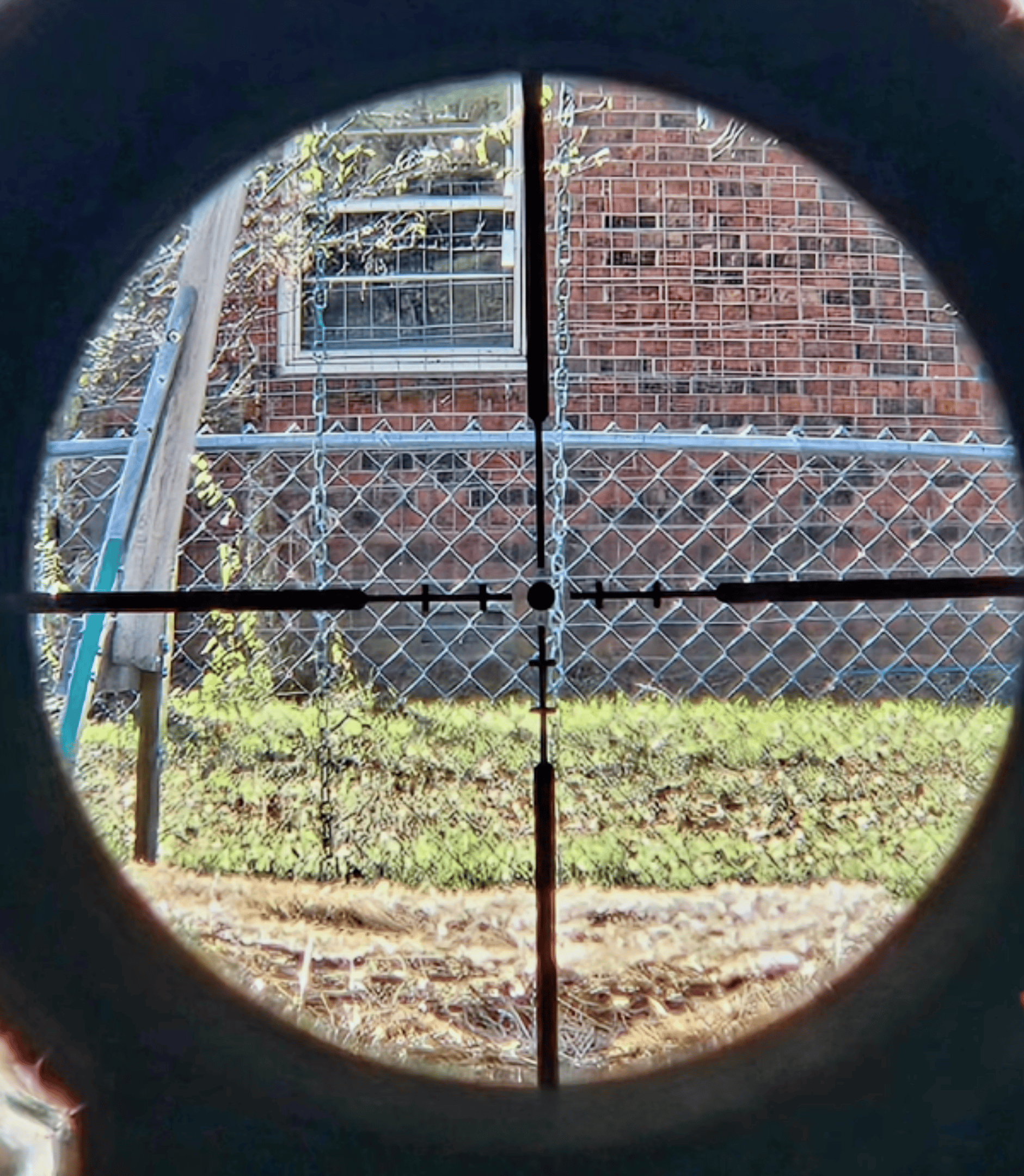 The 4 Best Scout Scopes for Any Budget (2026 Reviews)